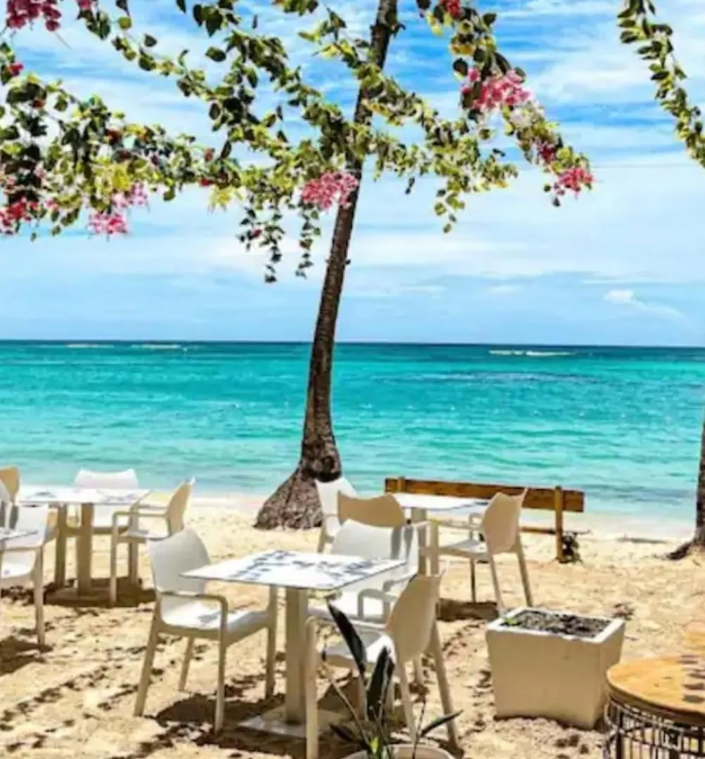 Beach And Pool Life Punta Cana Apartment
